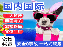 天津滨海空运地址国际宠物托运 【国